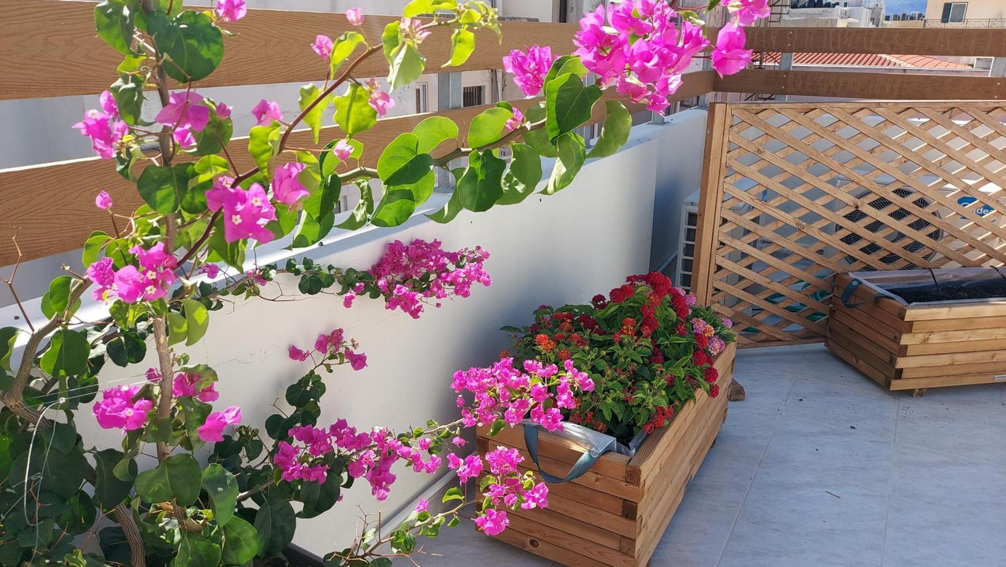Appartement Elegant In The Heart Of *